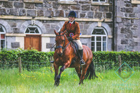 Cain Valley - Horse Show - 26th May