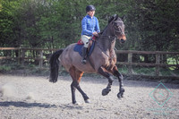 Walford - Showjumping - 30th March 19
