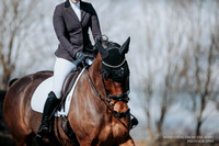 Berriewood Dressage - 3rd March 24