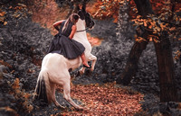 Amelia_Hart_2628