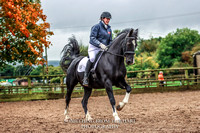 Berriewood Dressage - 4th October 2020