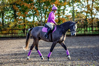 SDRC Matchy Matchy Dressage - Walford - 25th October 2020